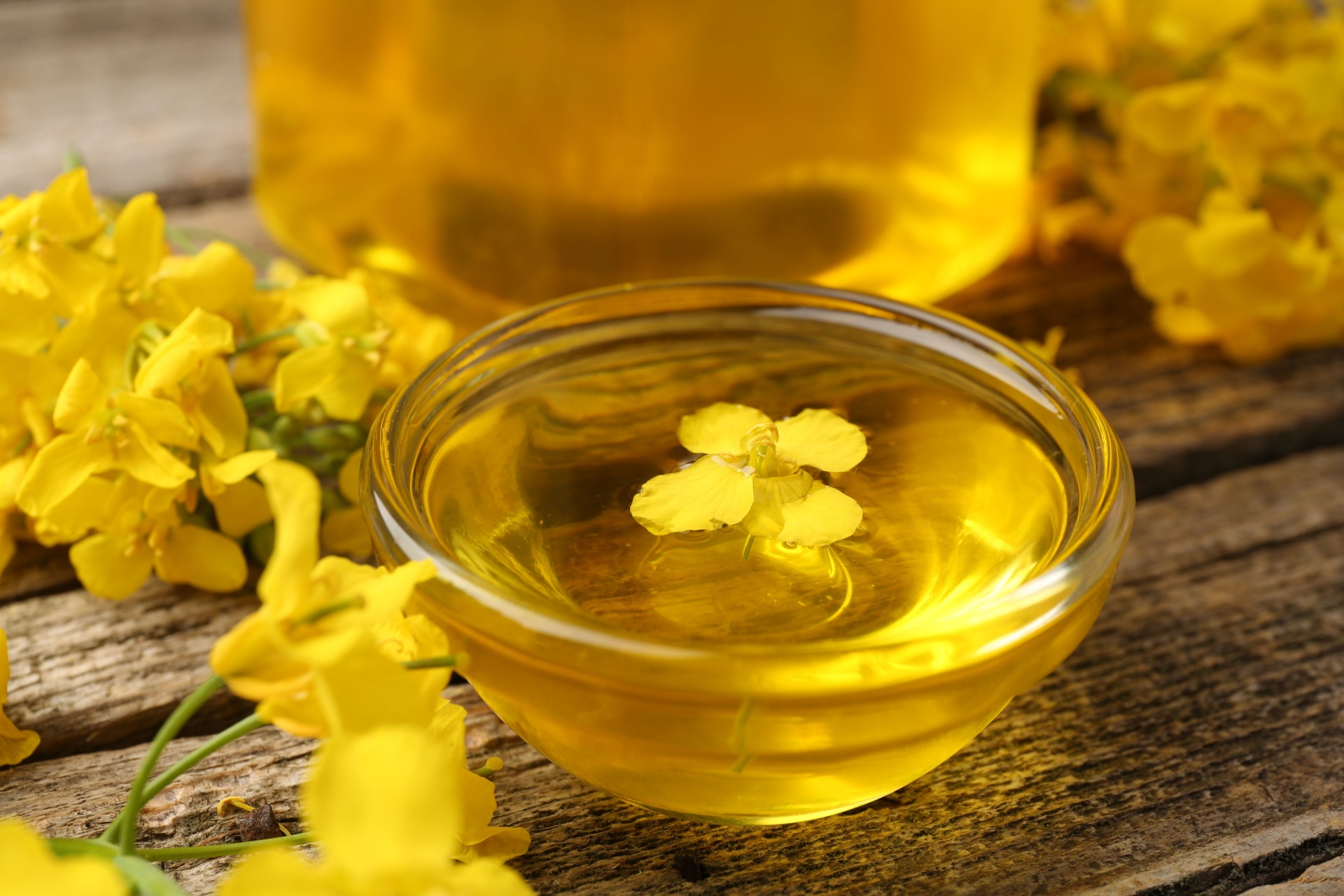 پایداری اکسیداتیو روغن آفتابگردان؛ عوامل مؤثر بر کیفیت و ماندگاری